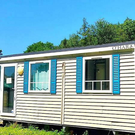 Camping Prima Tyn nad Vltavou Exterior photo